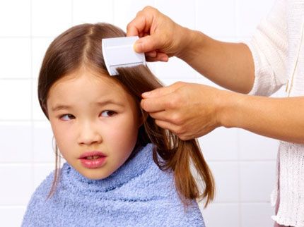 Cómo evitar los piojos en los niños y su tratamiento