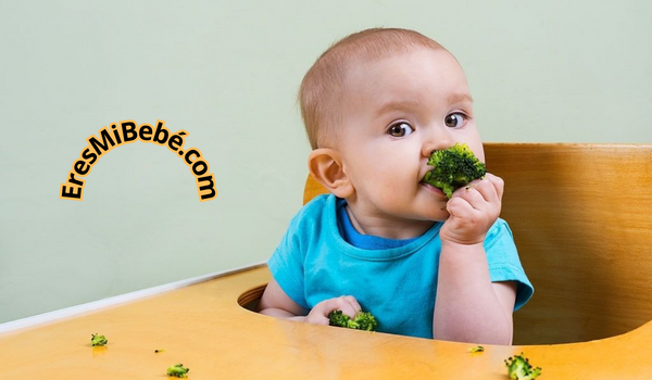 Como ofrecer brócoli a un Bebe